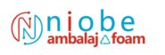 cropped cropped cropped niobe logo 1.jpg
